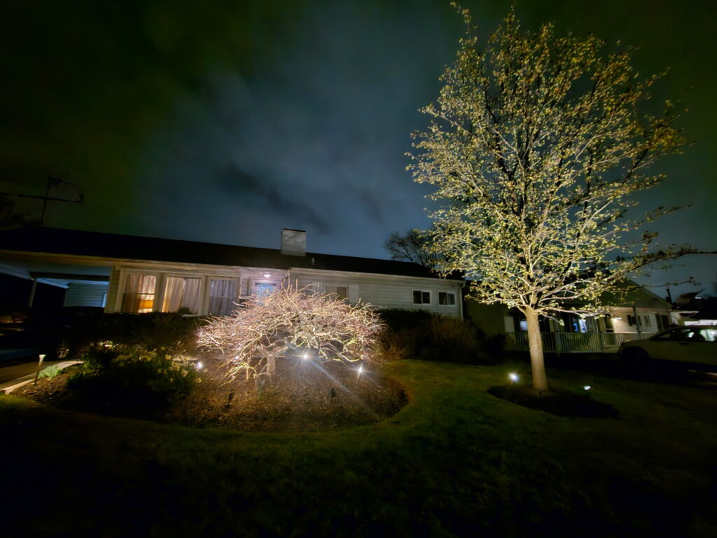 custom lighting installation on trees and pathway