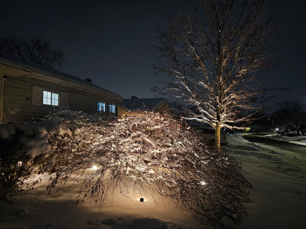 custom lighting installation on trees in the snow