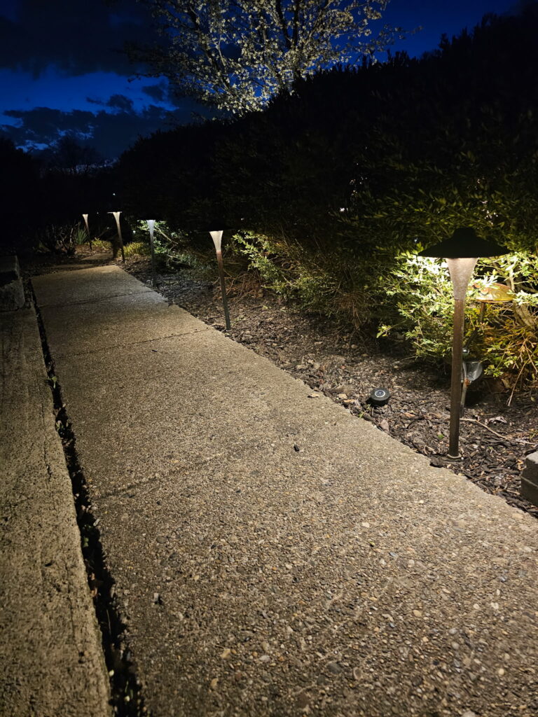 custom lighting installation along pathway