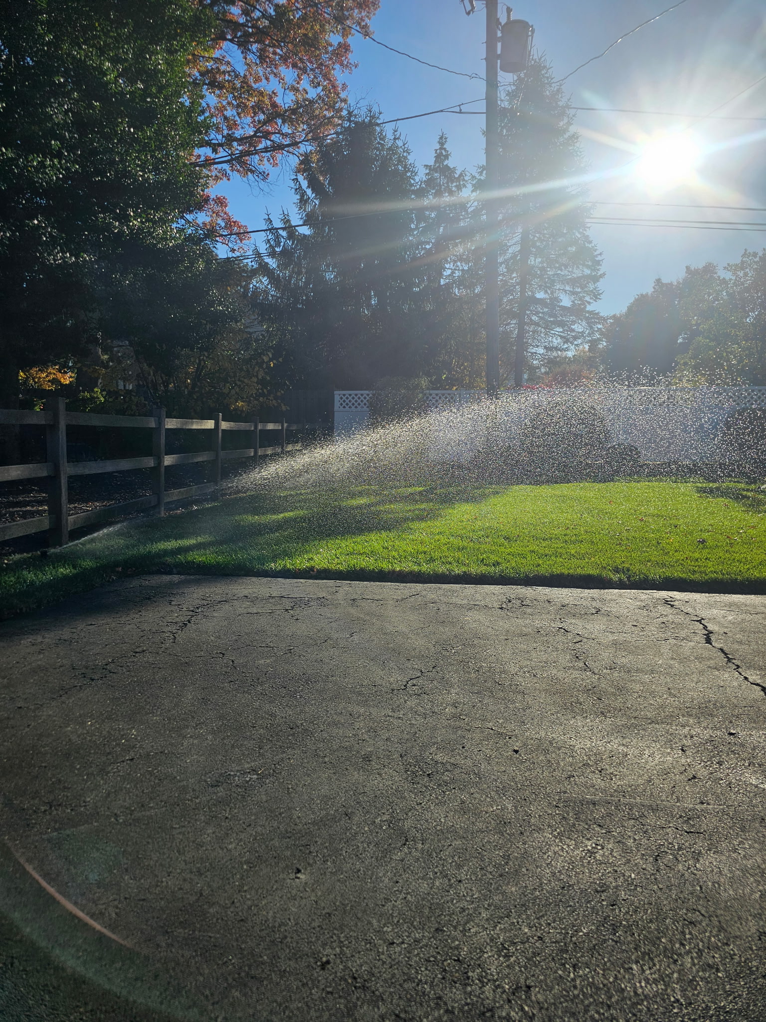 sprinklers with sunlight glinting on the droplets