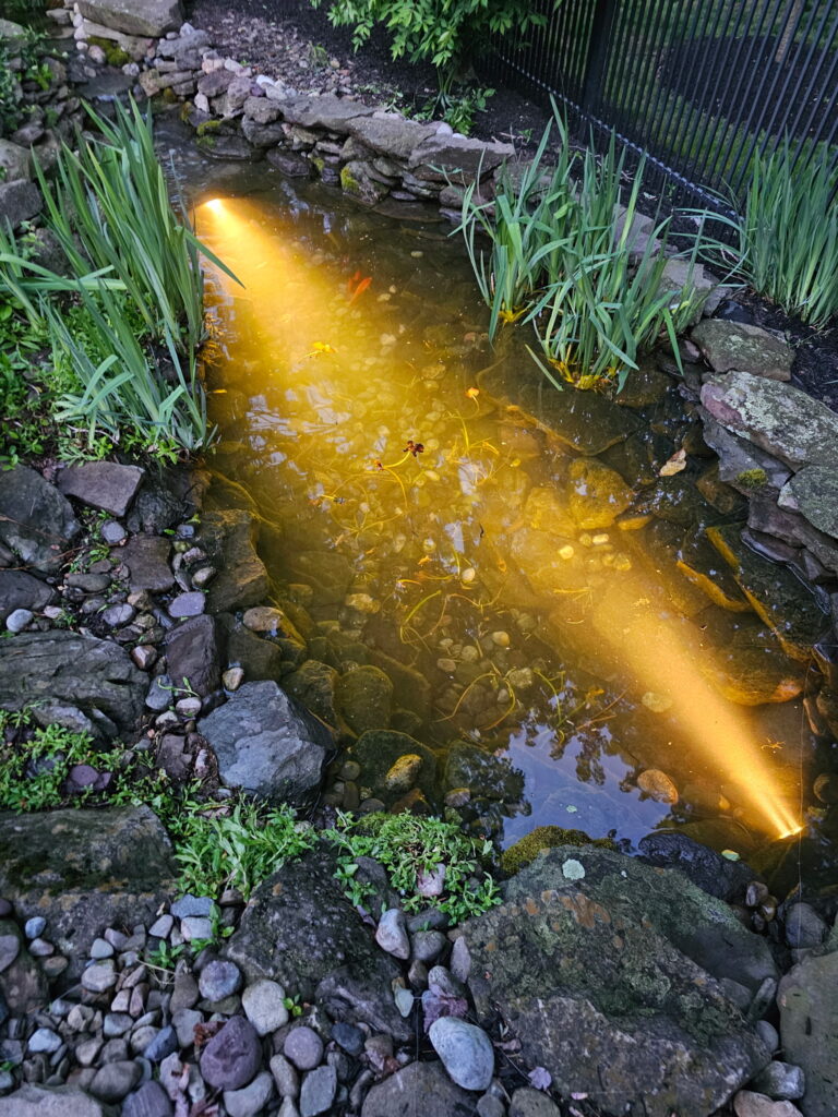 custom water feature with underwater lighting