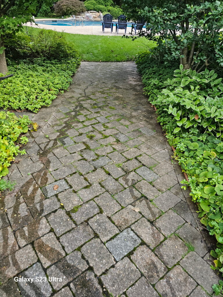 brick path partway before power-washing