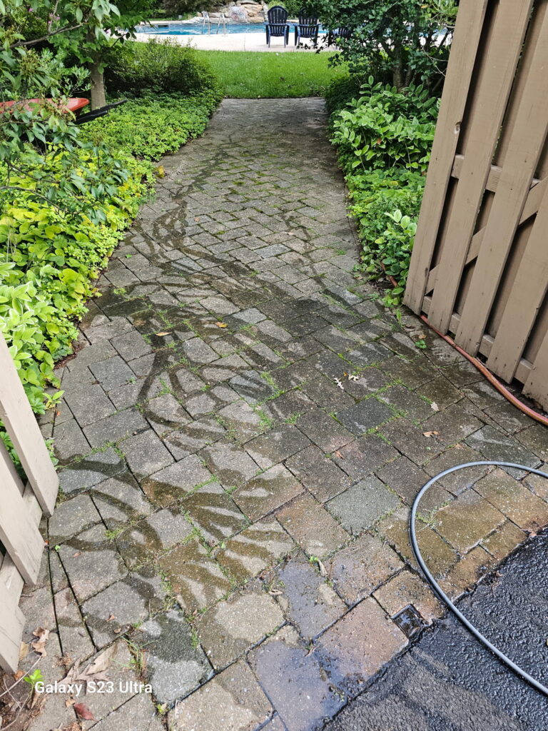 brick path partway before power-washing