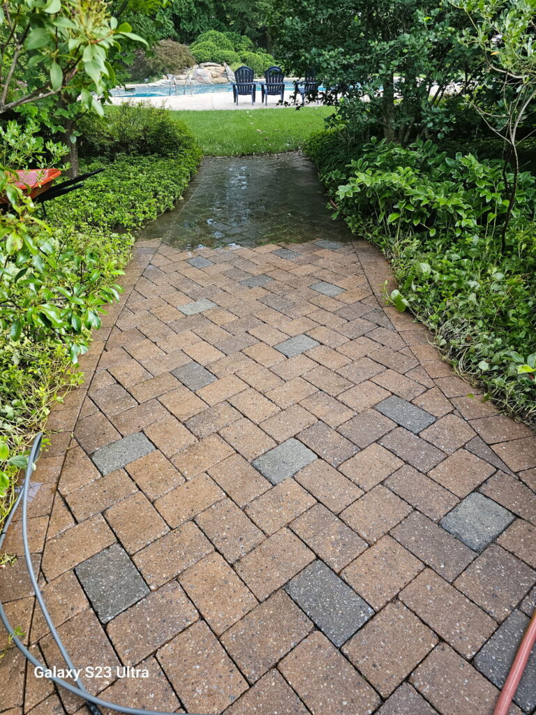 brick path partway through being power-washed