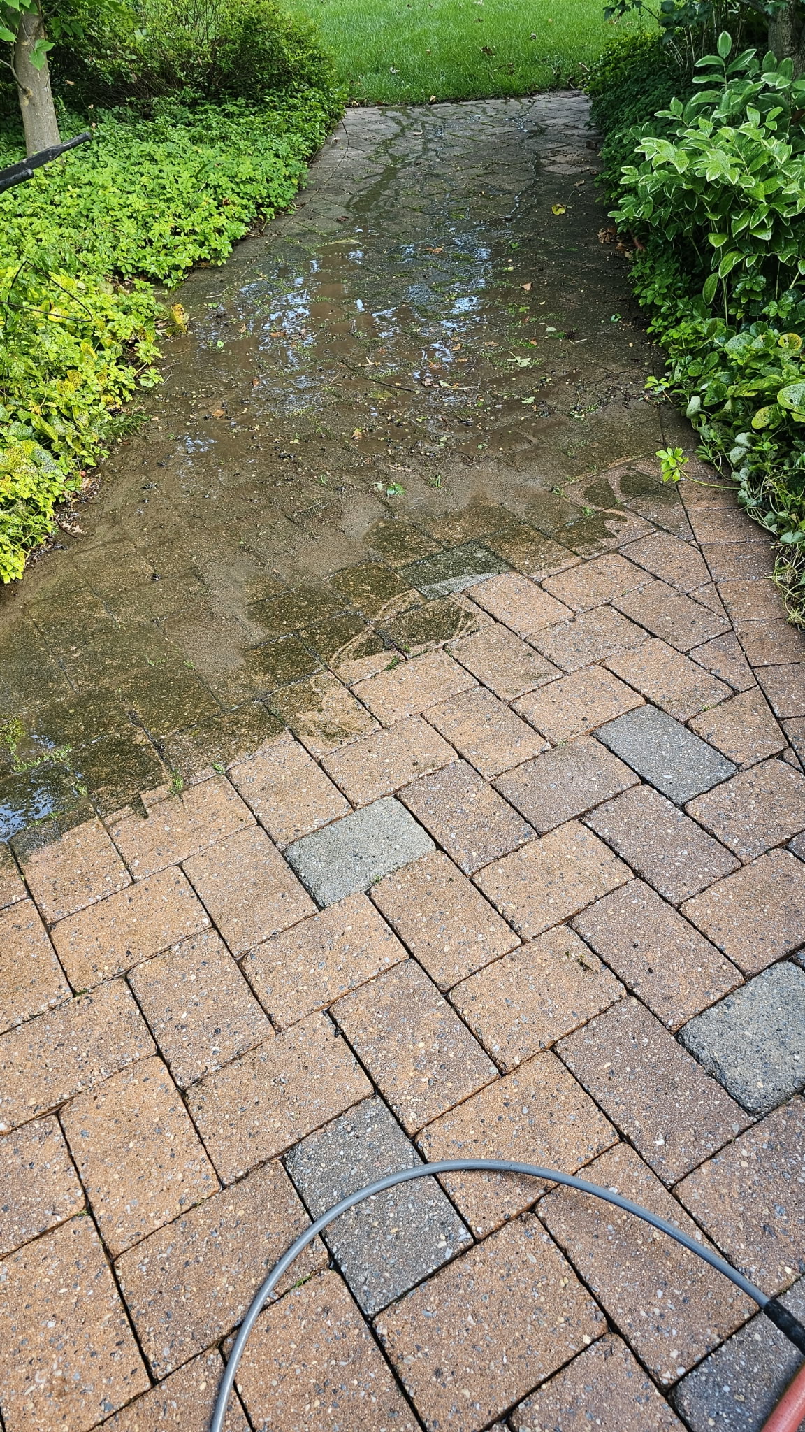 brick path partway through being power-washed