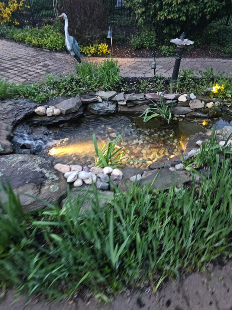 Custom pond with underwater lighting