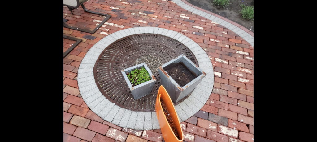 Curvy custom patio with space for tree